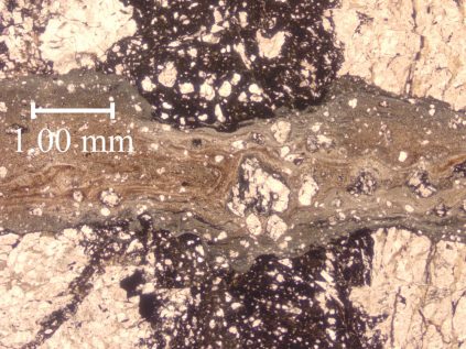 thin section