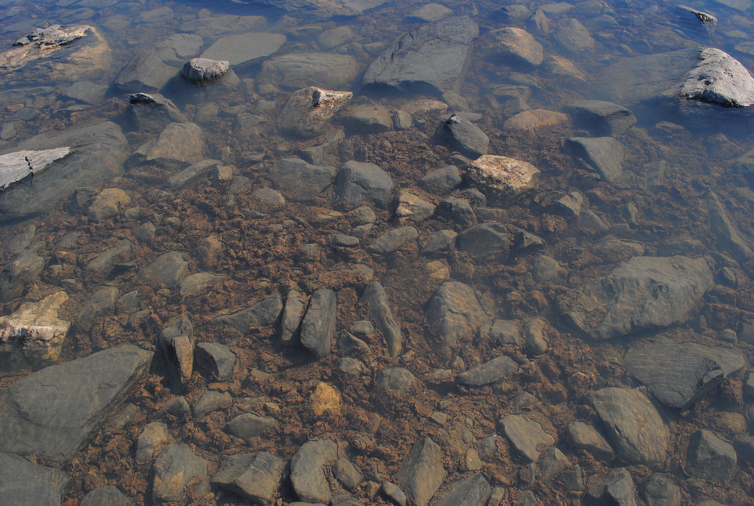 Rocks under clear, shallow water