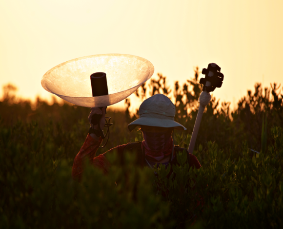 Mackenzie Roeder holding equipment at sunset
