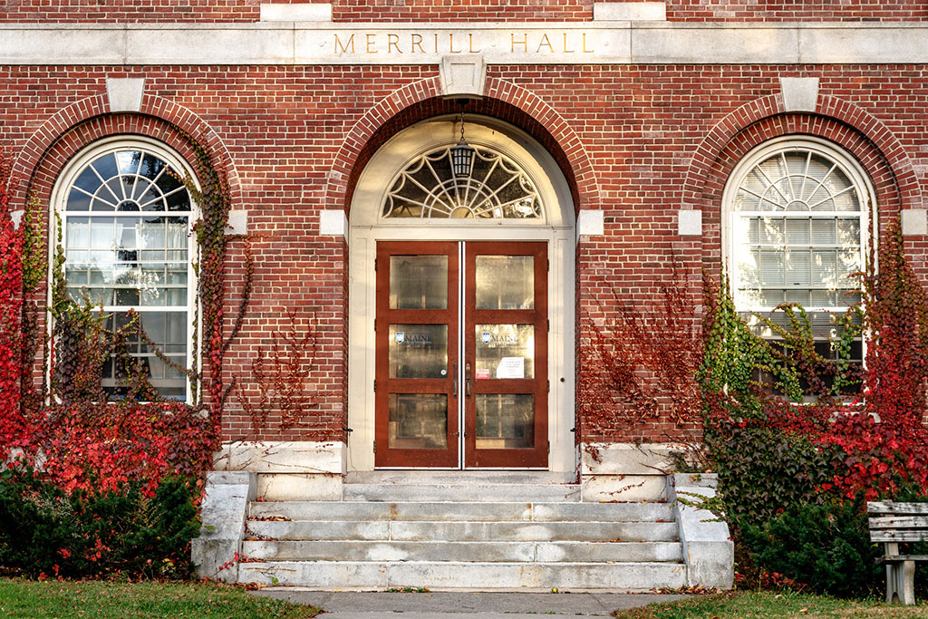 Merrill Hall with ivy growing on it.