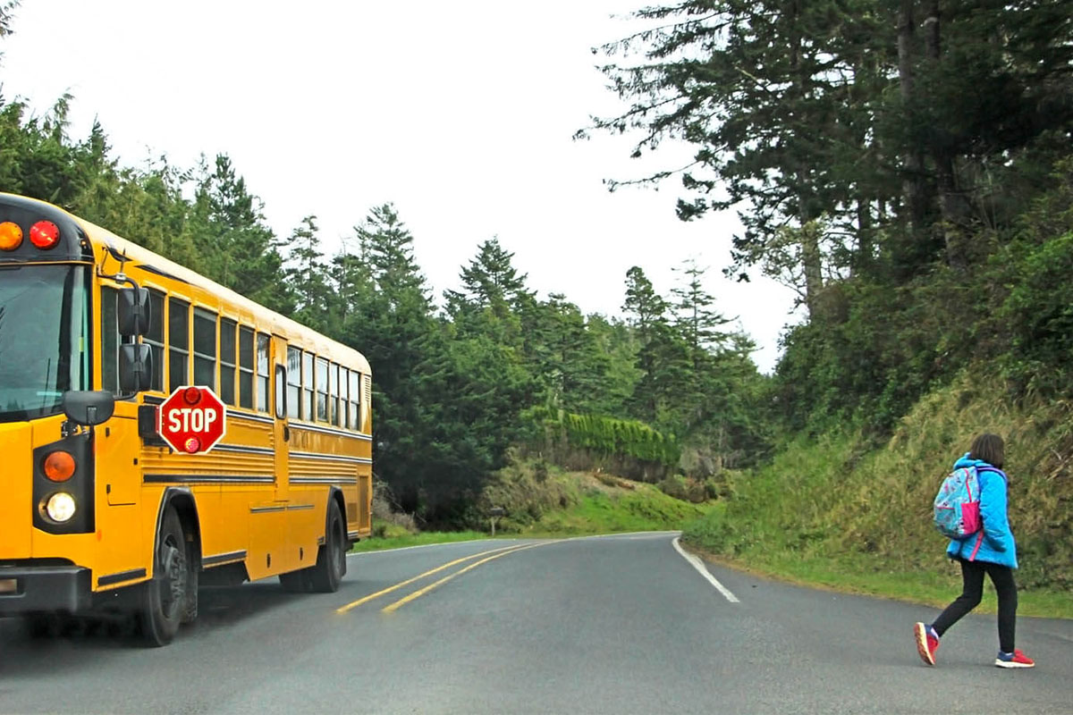 Rural schools feature image