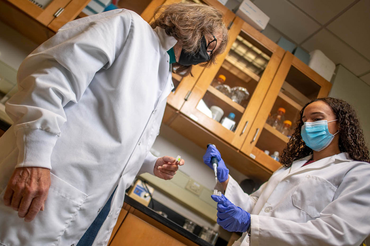 Researchers at the University of Maine work in a lab on campus while masked during the first year of the COVID-19 pandemic.