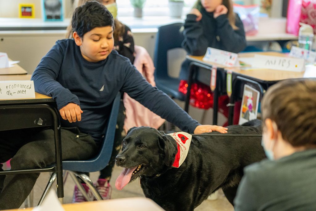 Students at Asa Adams Elementary School interact with a black lab named Ellie who is a certified therapy dog.