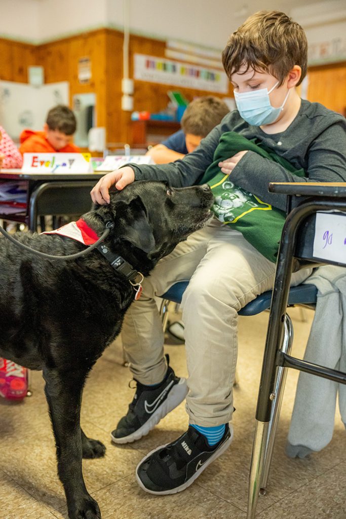 An Asa Adams Elementary School student interacts with Ellie, a therapy dog.