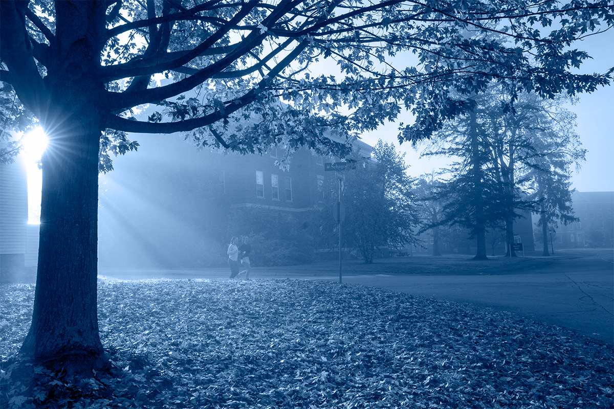 A photo of the University of Maine campus showing a tree near Merrill Hall that has shed its leaves in the fall. The photo has a blue color overlay.