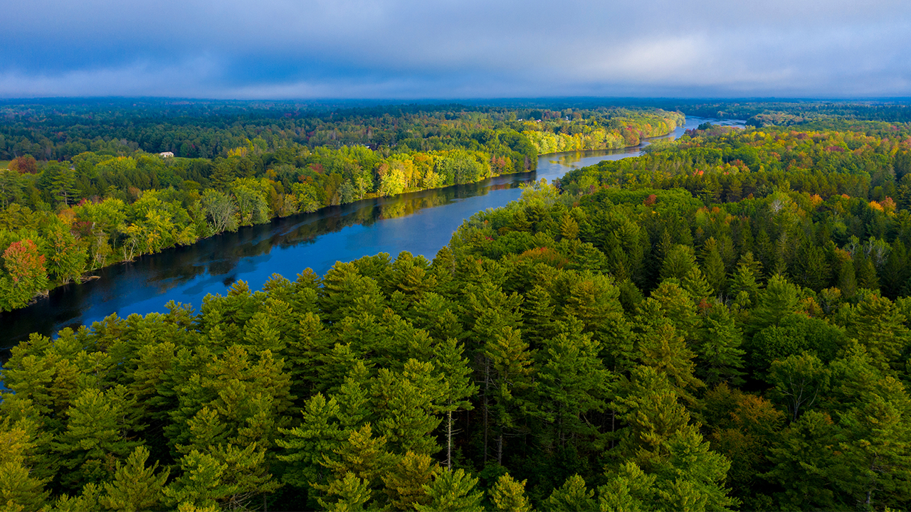 Aerial photo of green forest with river.