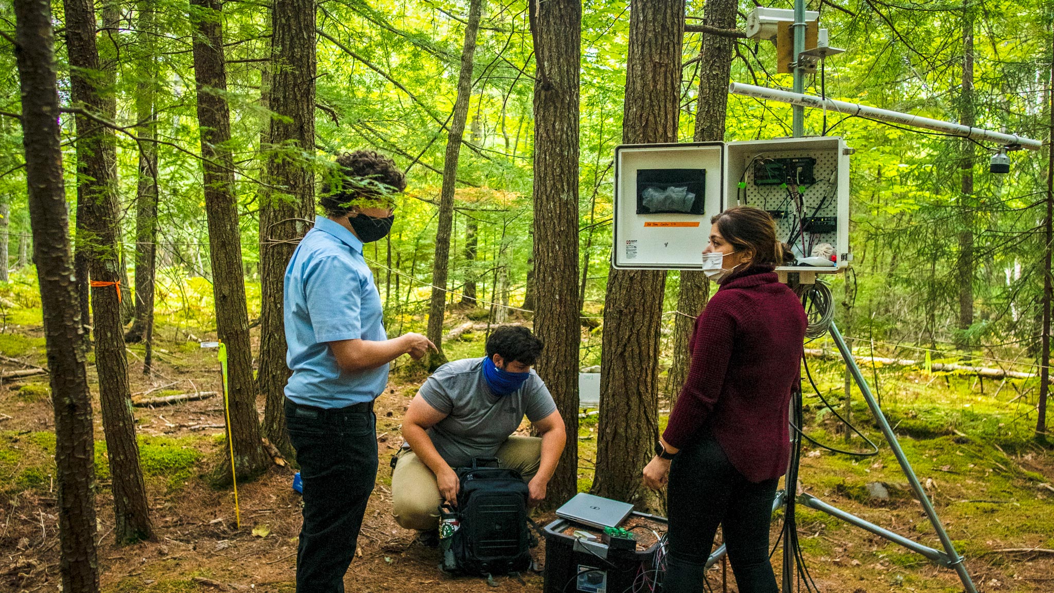 The people stand talking in the woods as they work on a sensor mounted on a tripod
