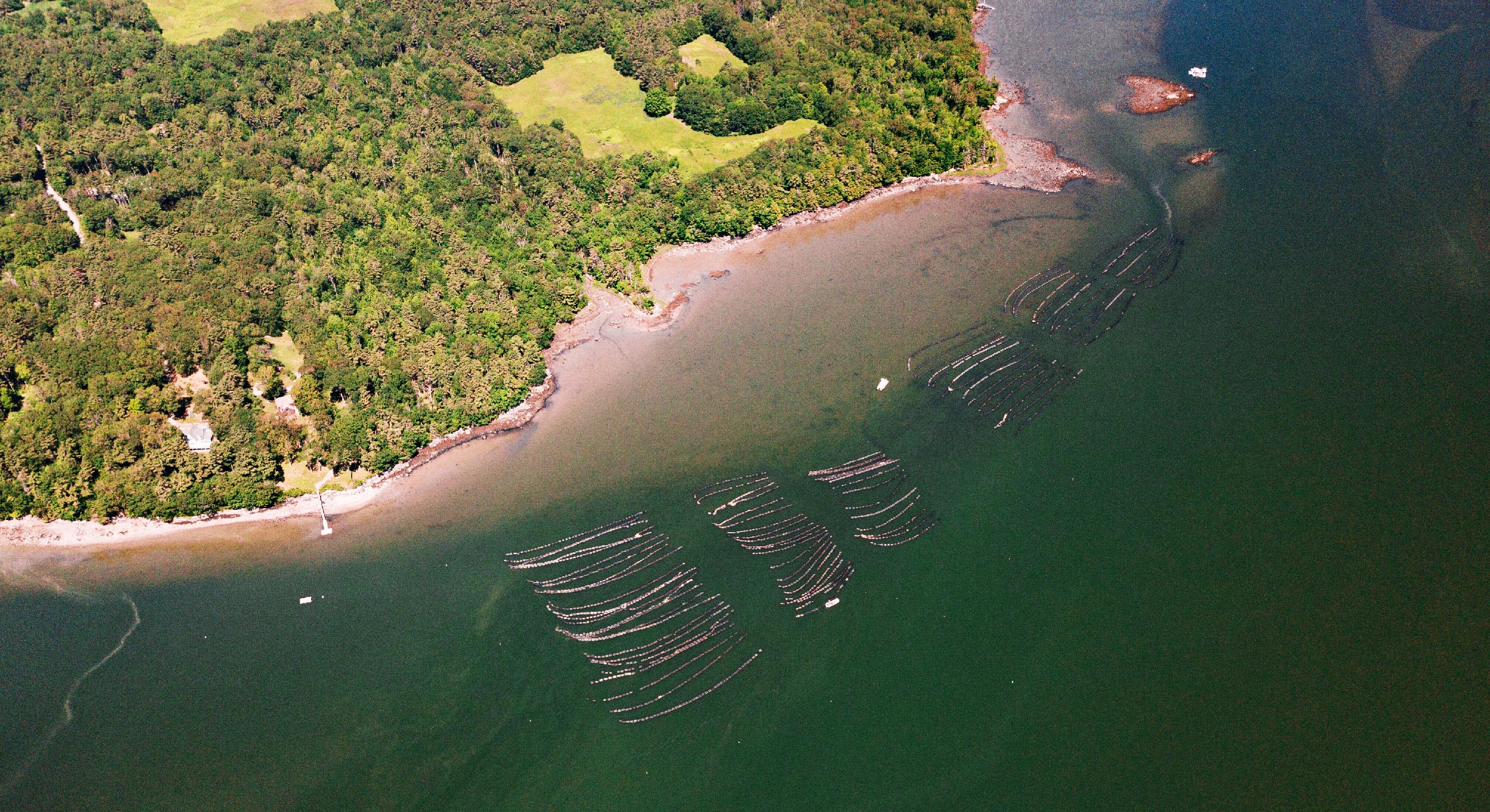 Aerial photo of aquaculture farm