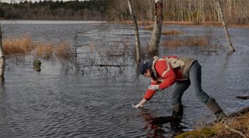 Jennifer Smith-Mayo (Ph.D. student UMaine) conducts eDNA sampling at Basin Pond in Monroe, ME