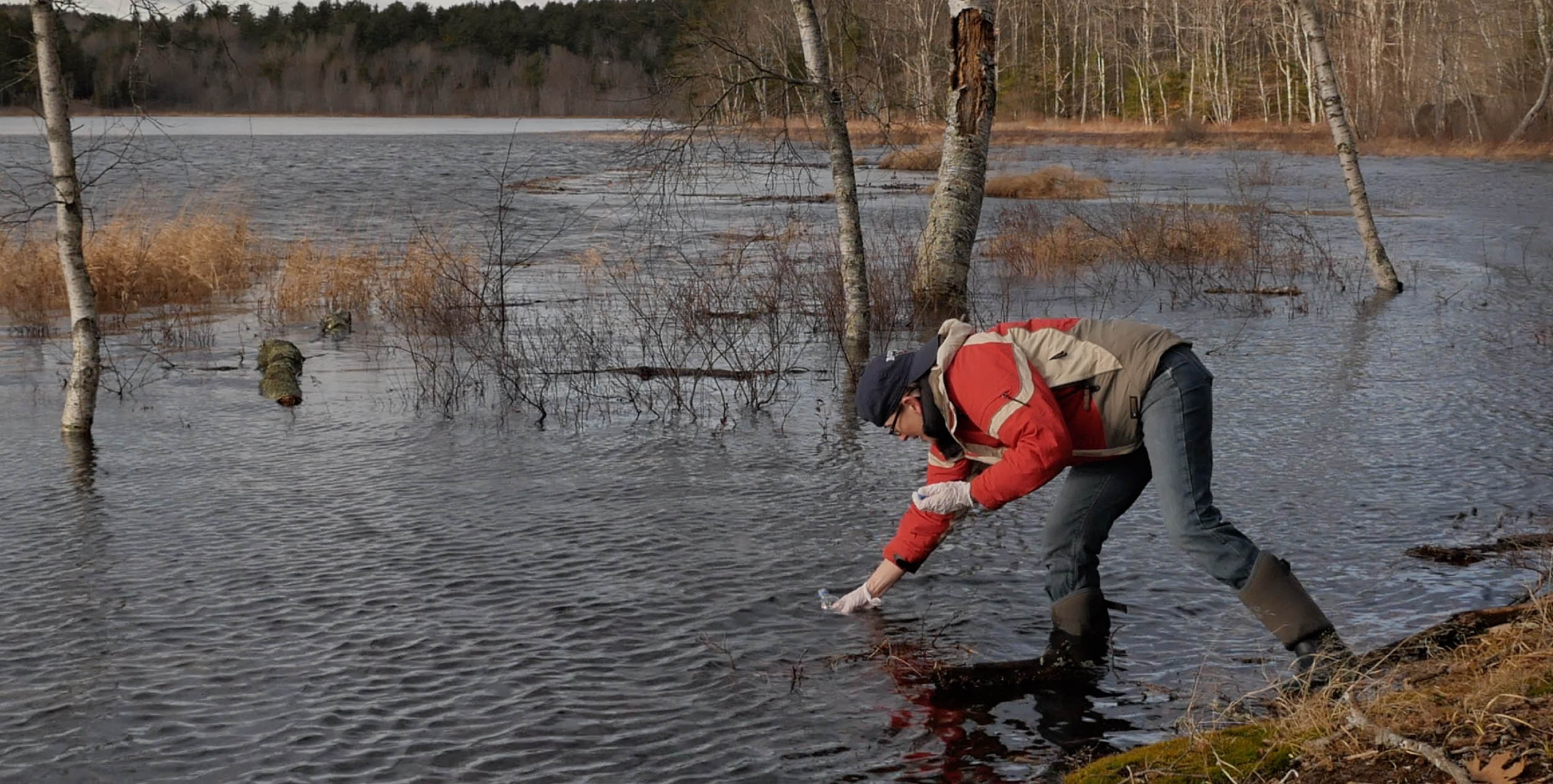 Jennifer Smith-Mayo (Ph.D. student UMaine) conducts eDNA sampling at Basin Pond in Monroe, ME