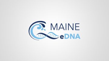 Maine eDNA Logo