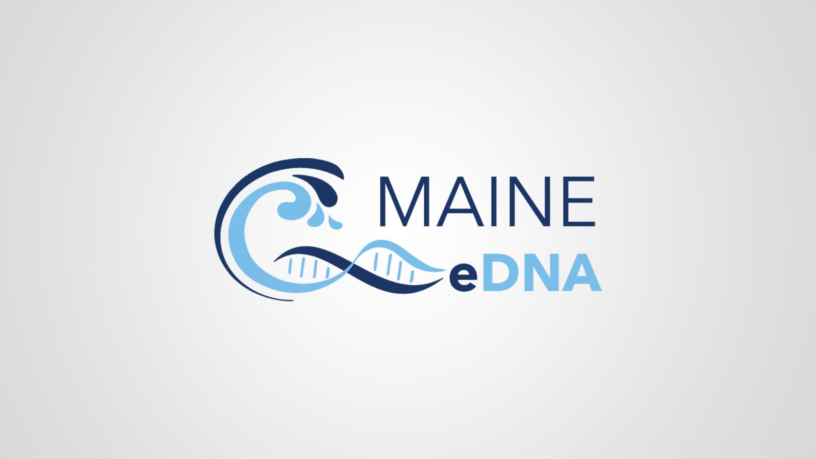 Maine eDNA Logo