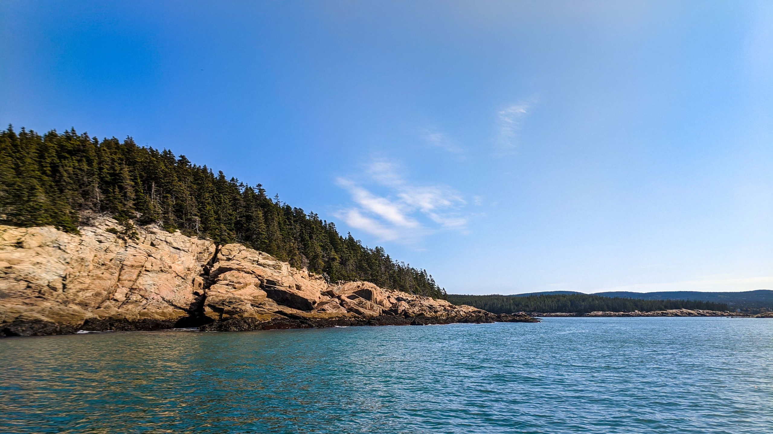Rocky coastline topped by trees with blue water and sky