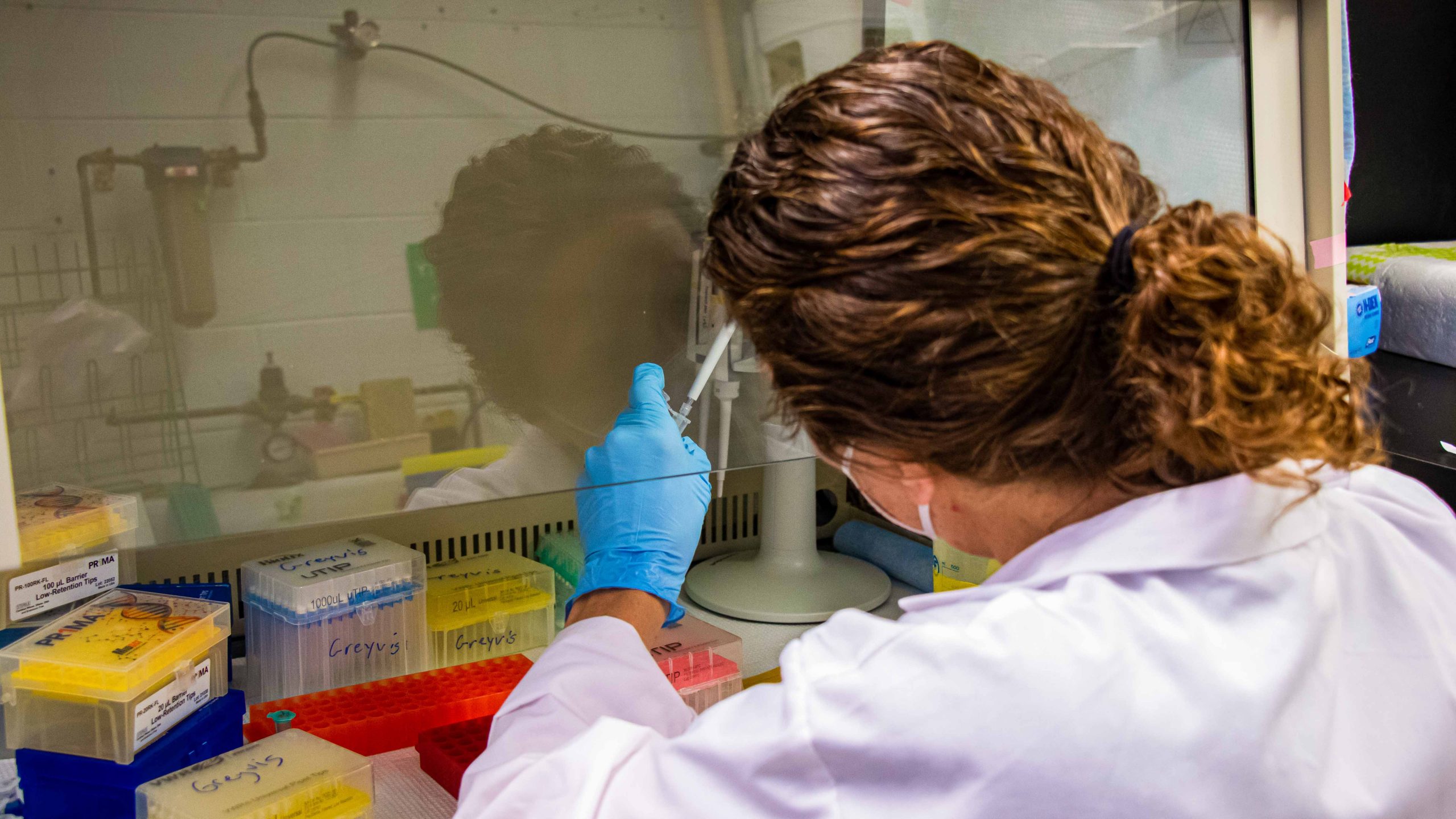 Person in lab coat holds works under lab hood.