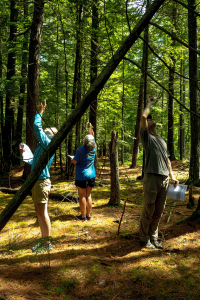 Photo of 3 individuals standing in woods looking up. 