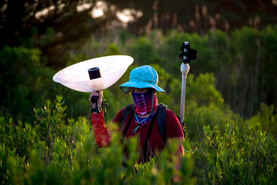 Roeder stands in chest high foliage with equipment and a bright blue bucket hat