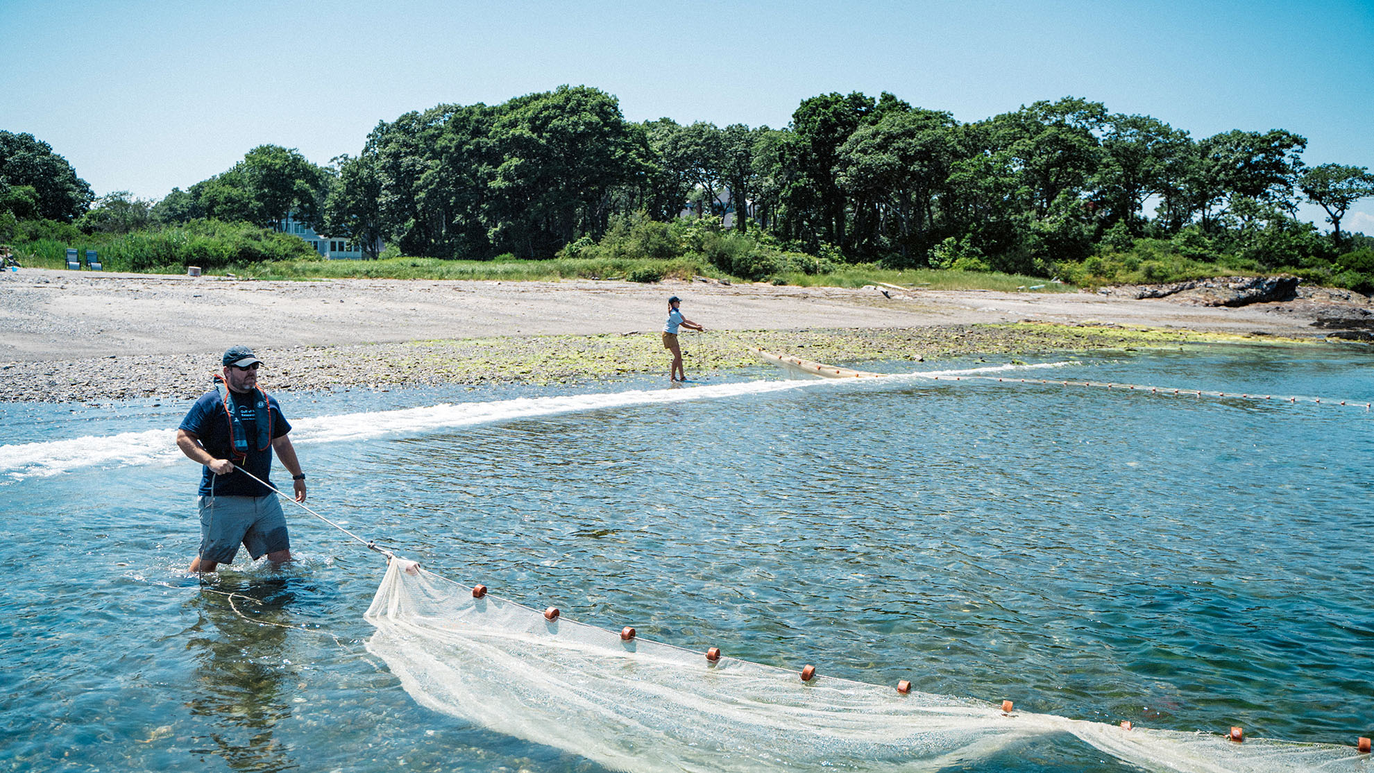 Two figures stand on beach with large net conducting seining