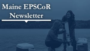 Blue image of two graduate students conduct field work on block with text that reads Maine EPSCoR Newsletter