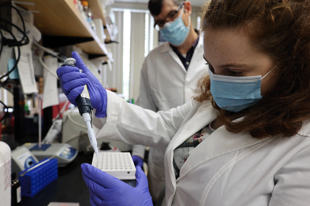 Two researchers in white lab coats and blue masks use a pipette at lab bench. 