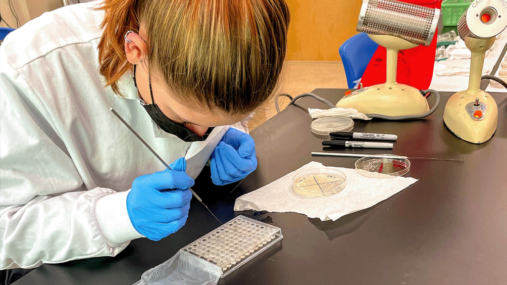 student in lab coat and mask organizes samples on lab bench.