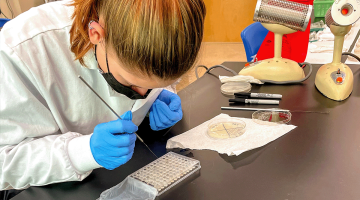 student in lab coat and mask organizes samples on lab bench.