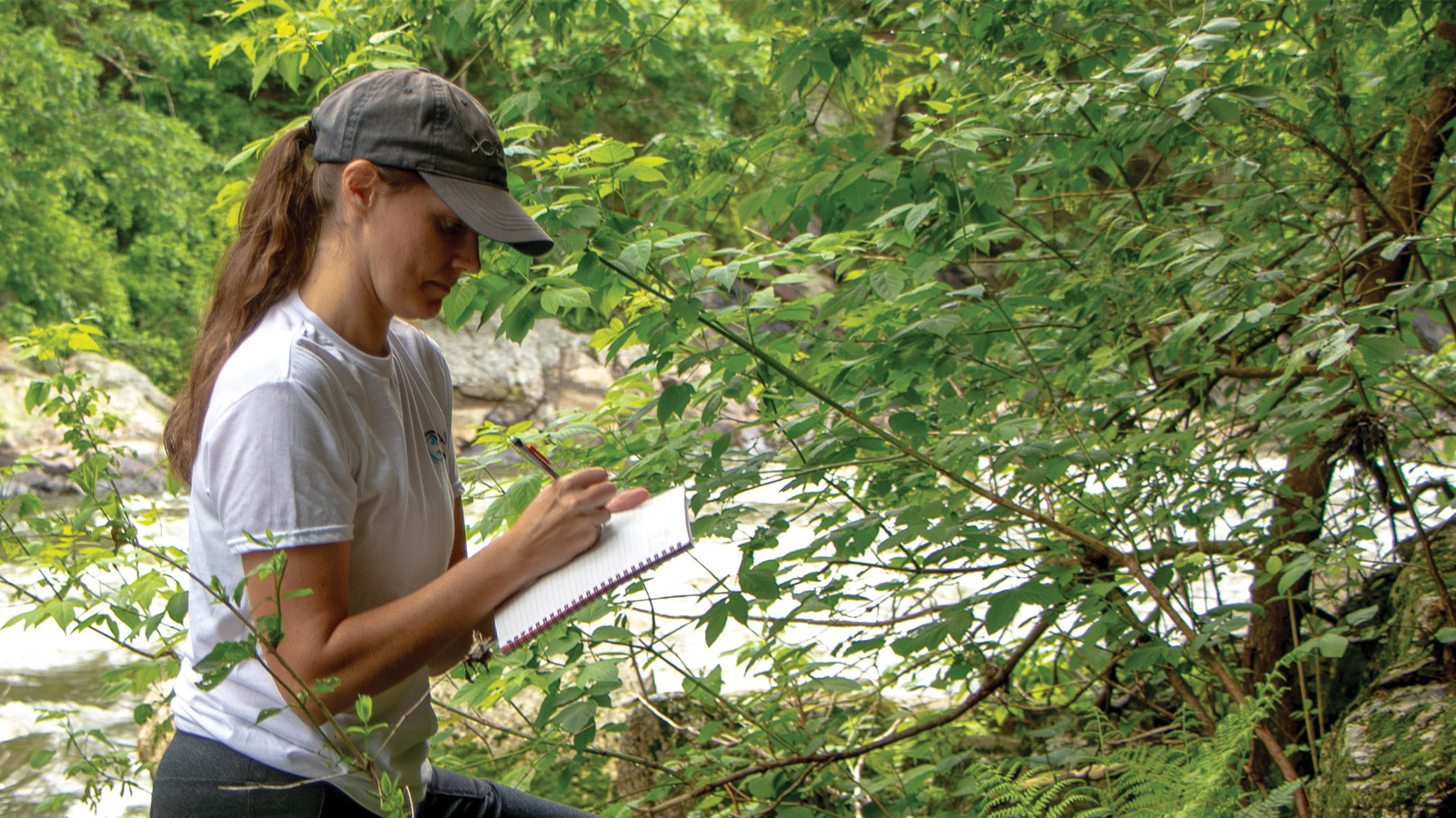 Sam Bengs takes notes in the field