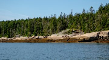 Wooded rocky Maine coastline