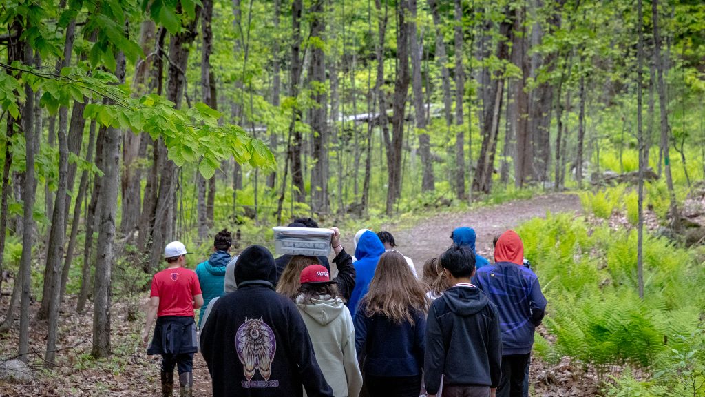 ground of middle schools walk with their backs to the camera through the woods
