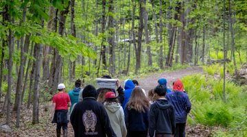 ground of middle schools walk with their backs to the camera through the woods