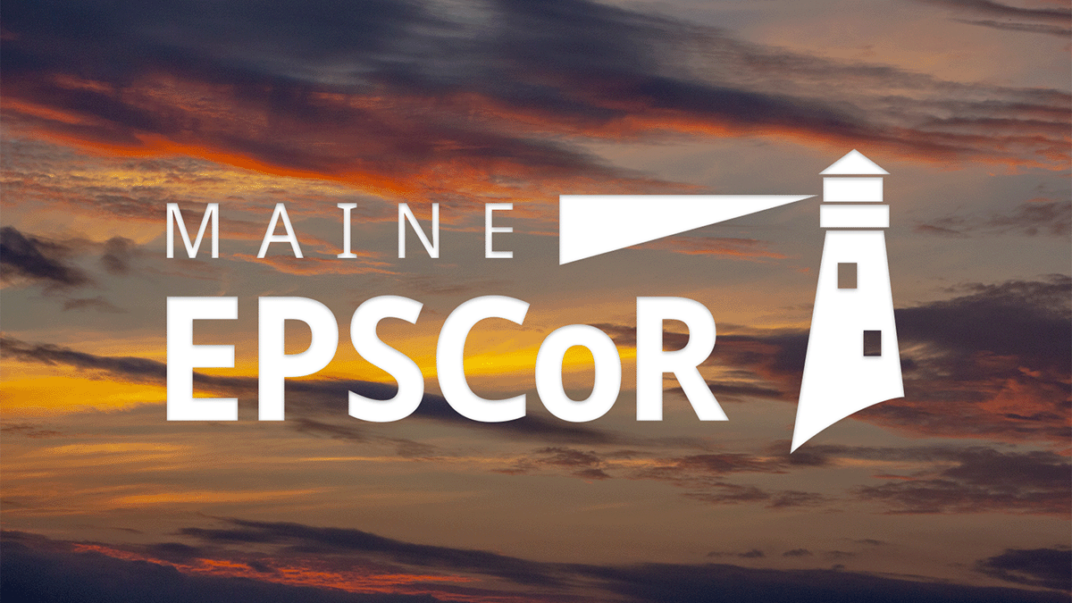 Maine EPSCoR logo over yellow and pink sunset