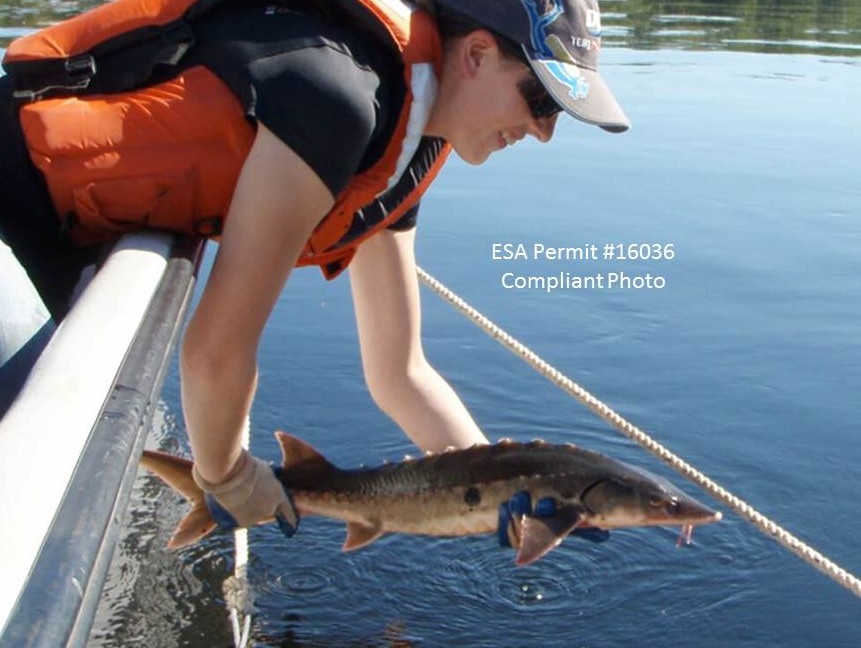 Conservation and Ecology of Aquatic Species