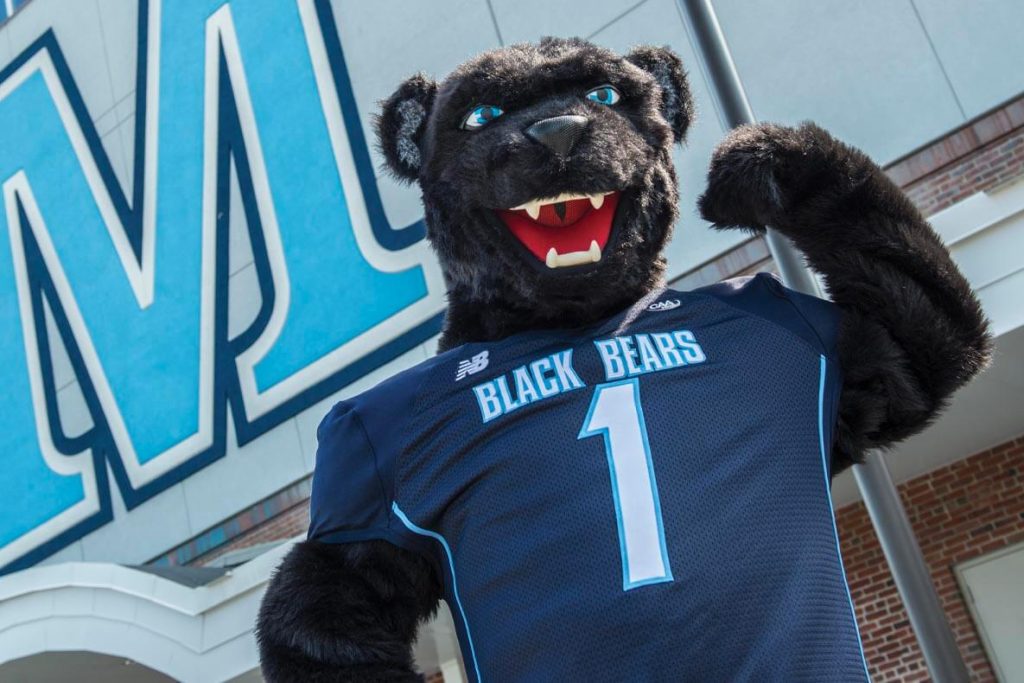 A photo of UMaine's mascot, Bananas T. Bear