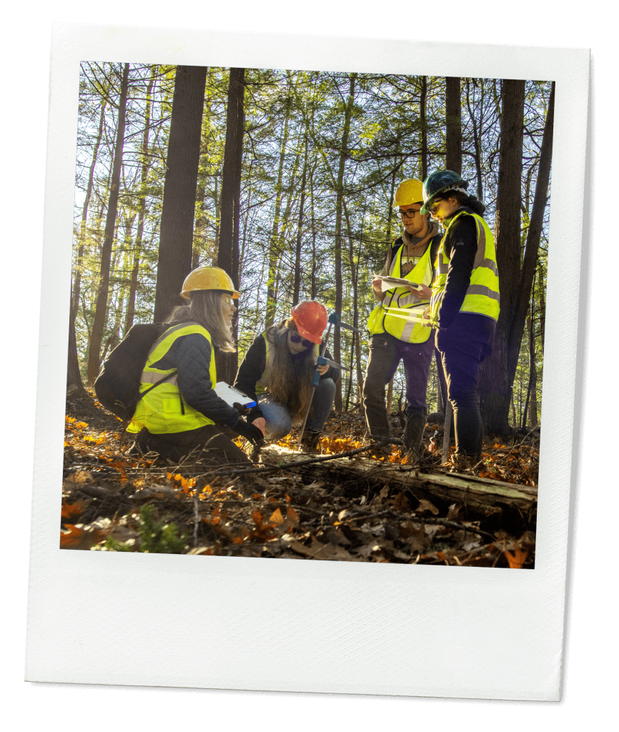 A photo of forestry students working in the woods