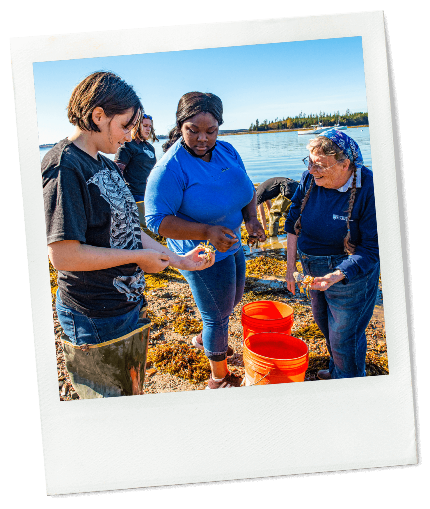 A photo of two students an a professor looking at crabs on the Maine coast