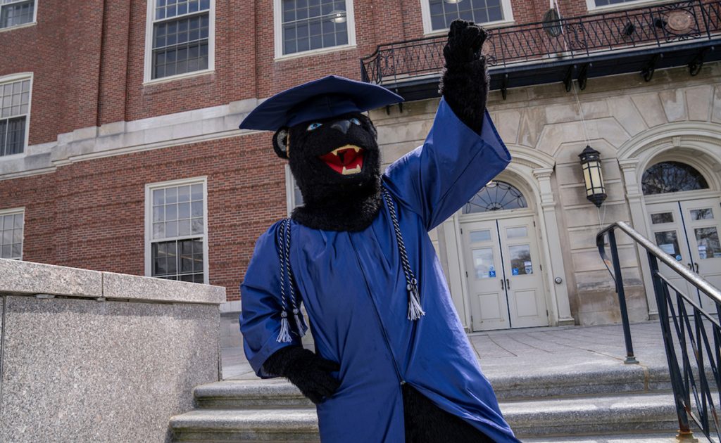 A photo of Bananas in a graduation gown