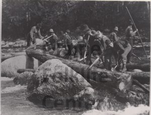 P00304 Men clearing small log jam with peaveys Wassataquoik River.