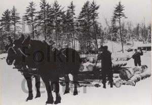P00935 Men and horses landing logs on frozen lake c.1945
