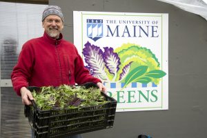 UMaine Greens