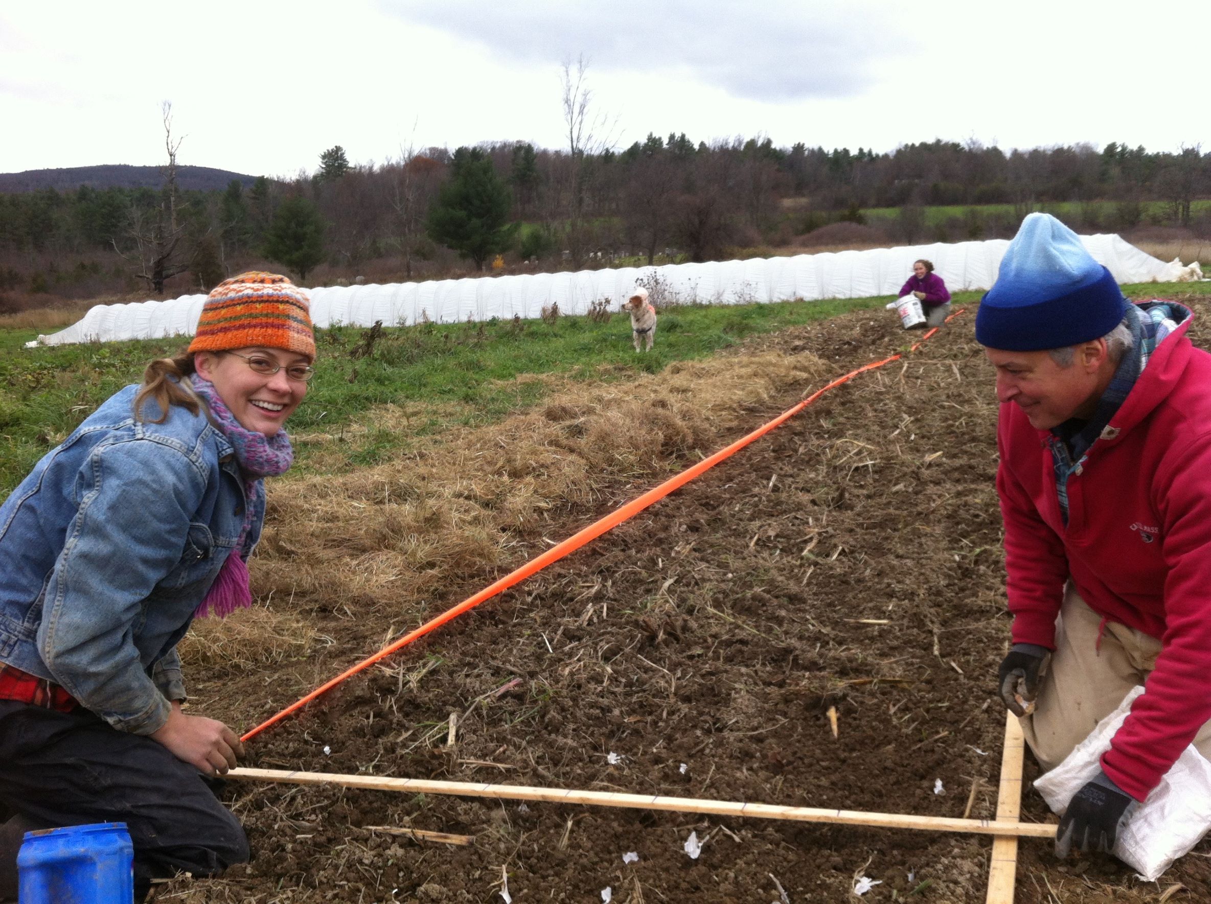 A student smiles at the camera as she helps mark a plot in a farm field. Another person is also setting lines for the plot in the foreground. Another person, an high tunnel, and a forest is in the background.