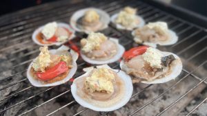 A photo of scallops on the half shell.