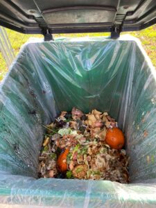 photo from above of green compost bin with food waste in it