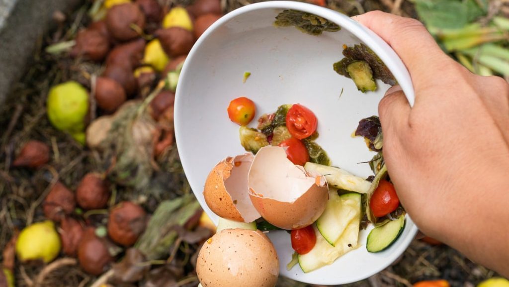 Image of a person putting food scraps in a compost bin