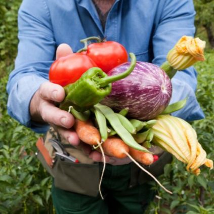 Image of a person holding up an assortment of vegetables