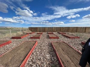 A photo from The Fairgrounds garden plot showcasing a collection of raised beds.