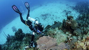 Image of scuba diver.