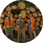 university forests employees wood pile
