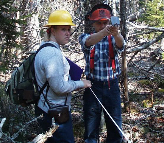 students measuring forests