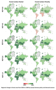 Global forest area and carbon stock impacts estimated by the global timber model (GTM)
