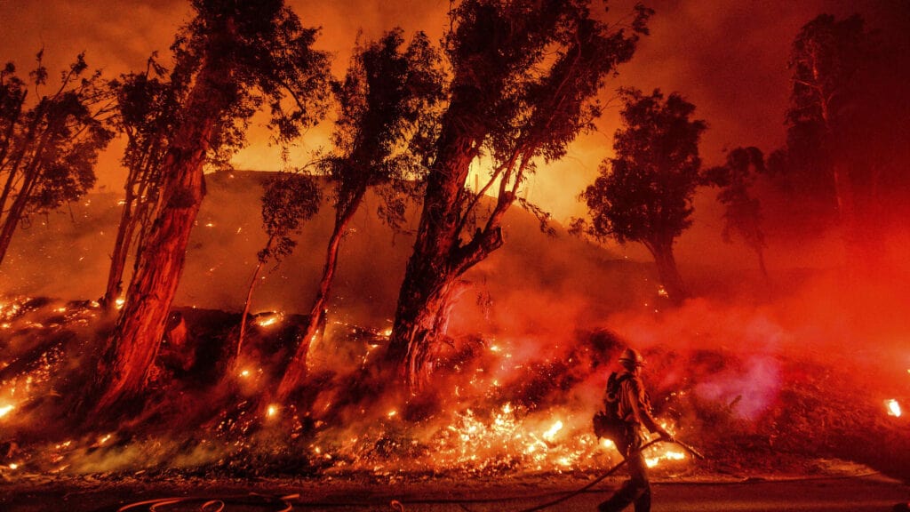 Lone fireman looks at burning forest