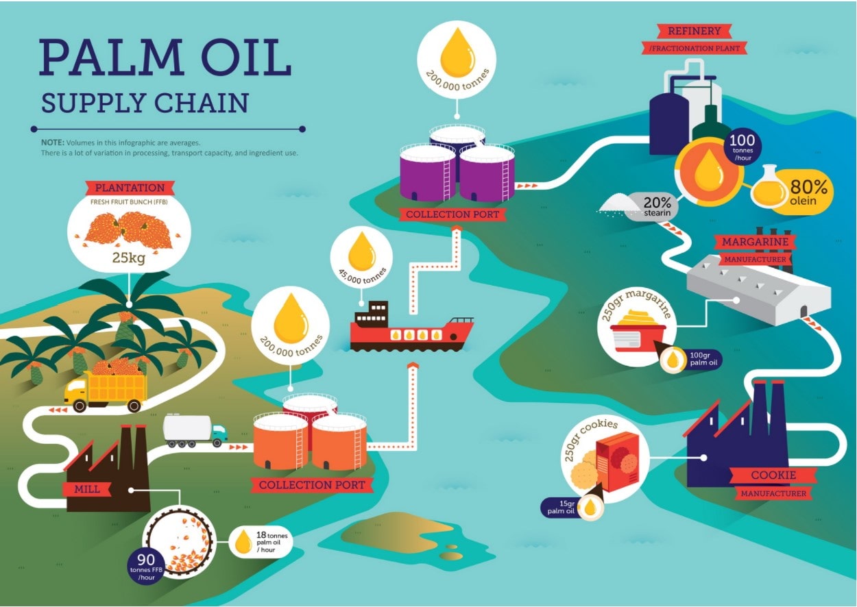 What is Palm Oil? Facts About the Palm Oil Industry